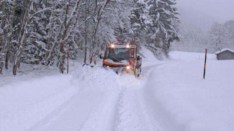 Tarron Compact Tarron Compact