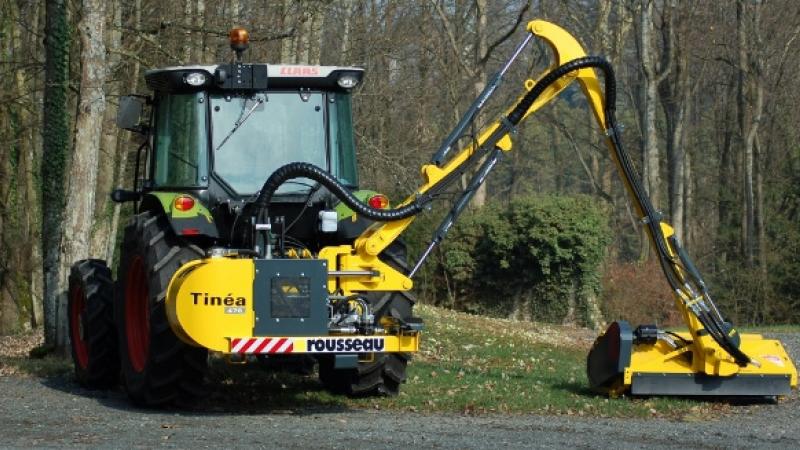 Tinéa debrousailleuse agricole Tinéa debrousailleuse agricole