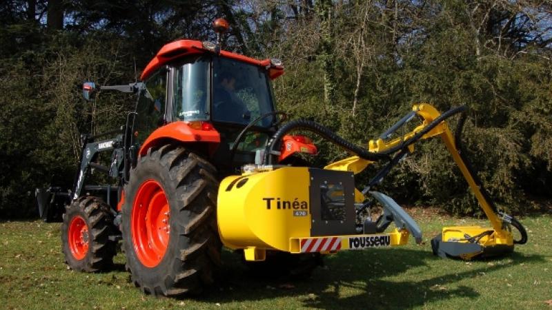 Tinéa debrousailleuse agricole Tinéa debrousailleuse agricole
