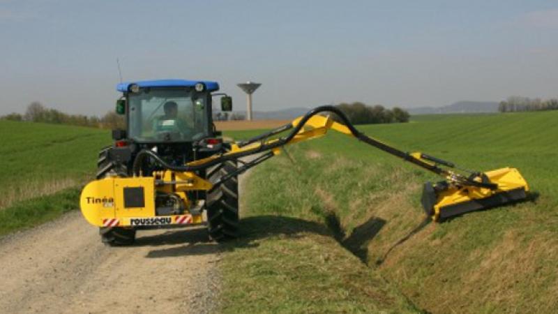 Tinéa debrousailleuse agricole Tinéa debrousailleuse agricole